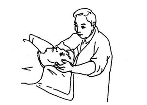 <a href='http://www.ccsmyy120.com/sjsr/' target='_blank' title='˥'><span style='color: #0000ff'><strong>˥</strong></span></a>
